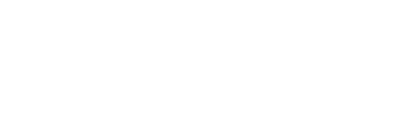Aris Endorse